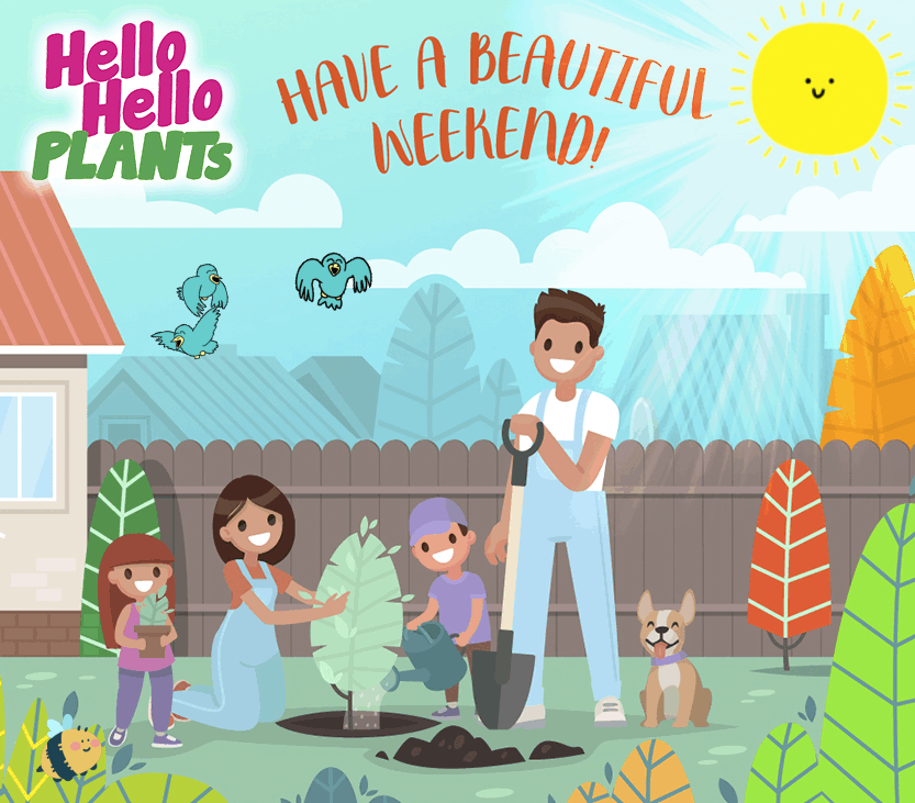 Beautiful weekend top