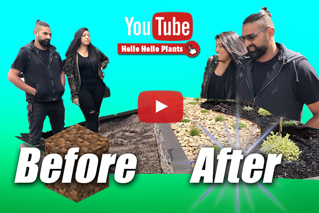 Free garden design Thumb