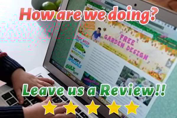 Leave us a review